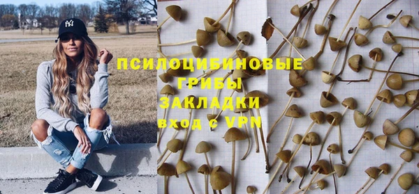 дмт Мегион