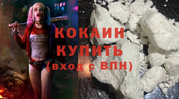 дмт Мегион