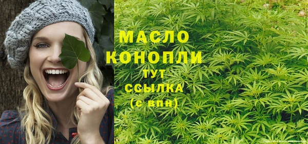 дмт Мегион