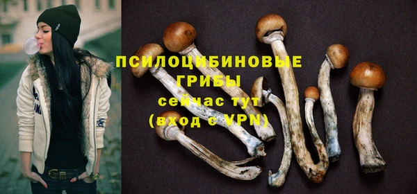 не бодяженный Домодедово