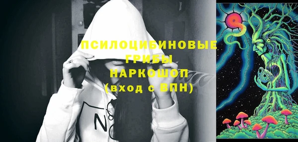 дмт Медвежьегорск