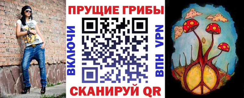 даркнет сайт  Рязань  Галлюциногенные грибы Psilocybe 