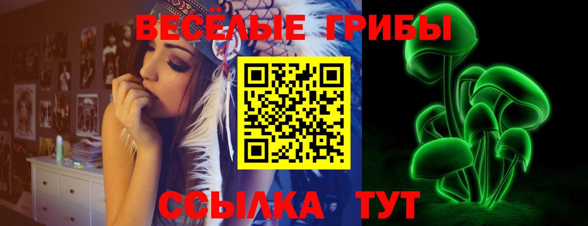 Рязань  Псилоцибиновые грибы MAGIC MUSHROOMS  Вход с VPN  Галлюциногенные грибы ЛСД 